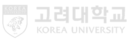 고려대학교