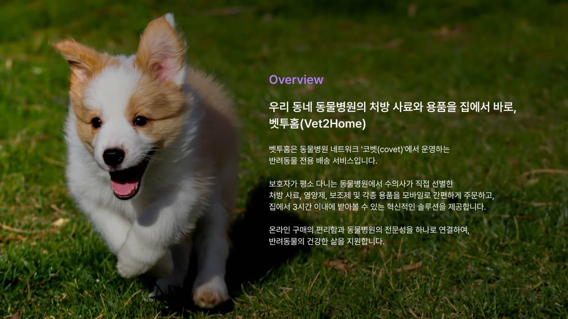 벳투홈